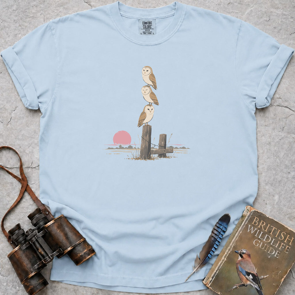 Barn Owl Trio T-Shirt — chambray