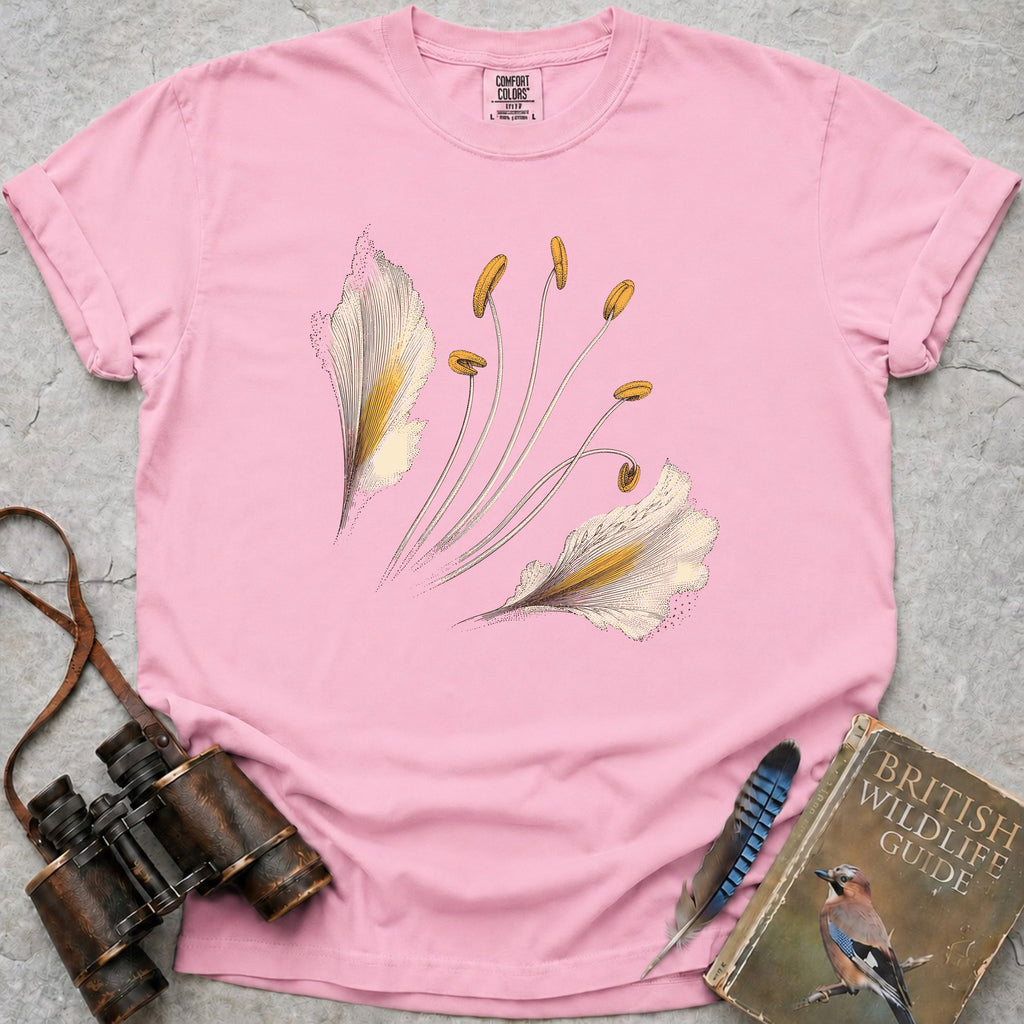 bog-asphodel-flower — blossom
