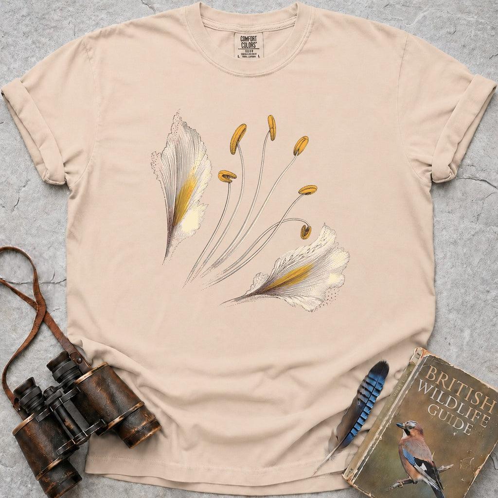 bog-asphodel-flower — ivory