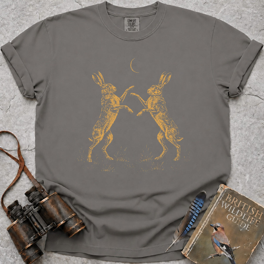 boxing-hares — grey