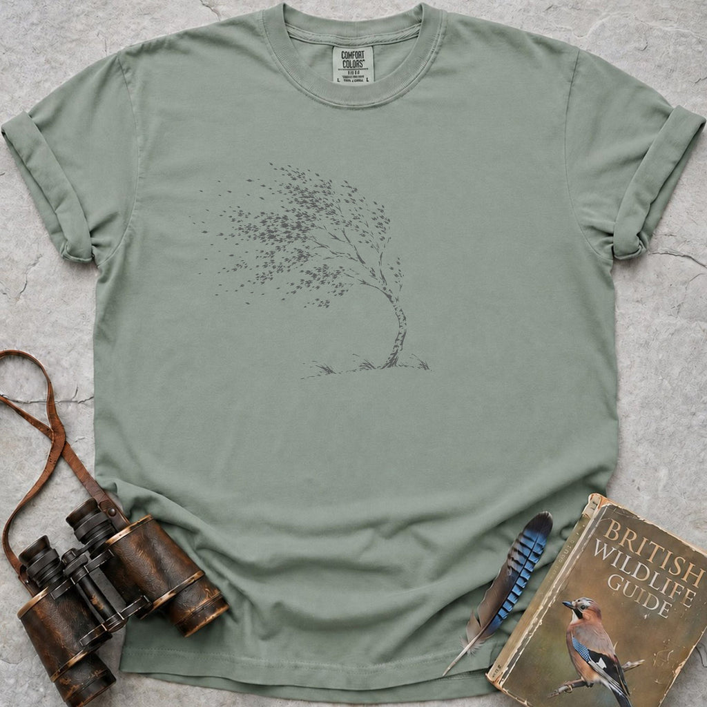 breezy-birch — bay