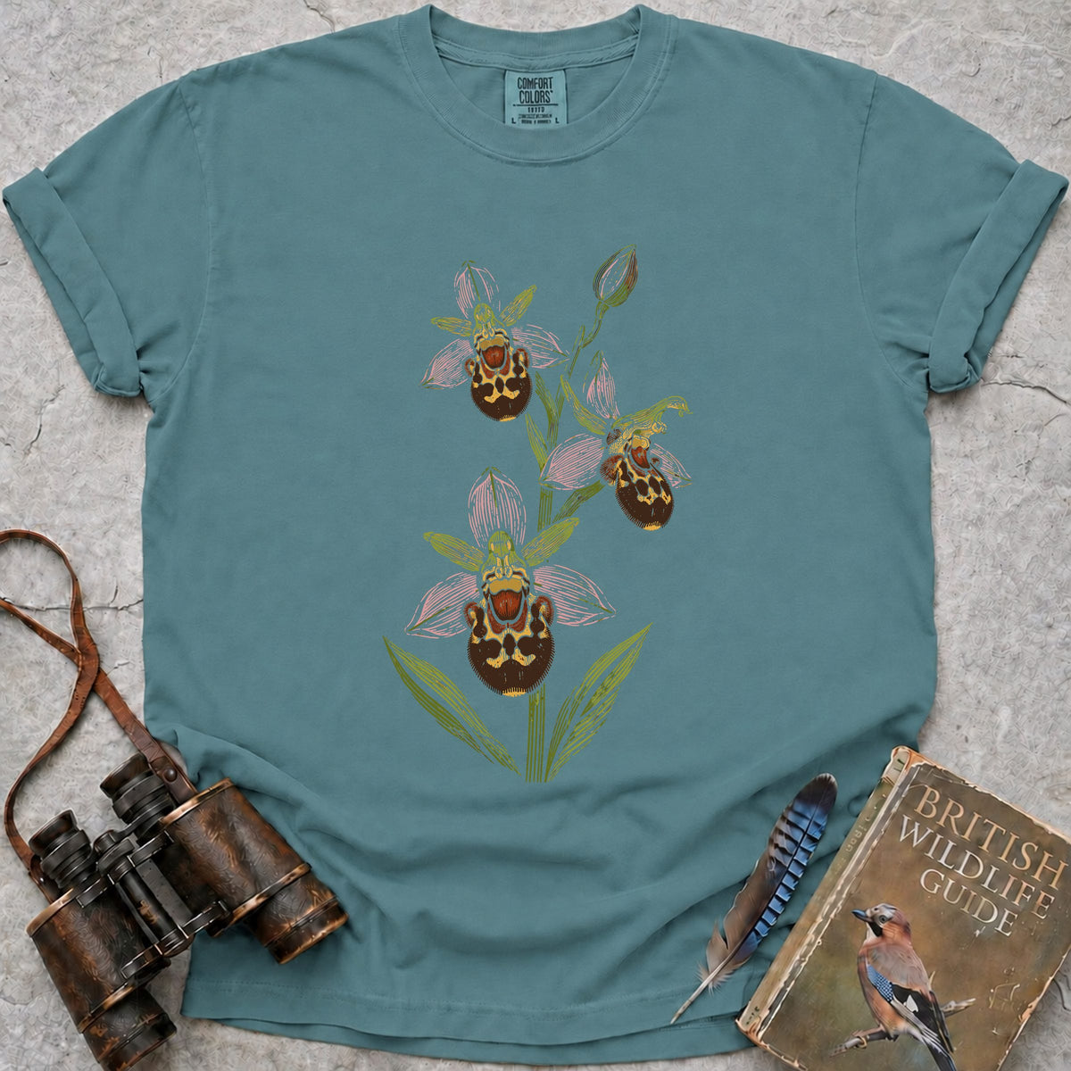 british-bee-orchid — seafoam