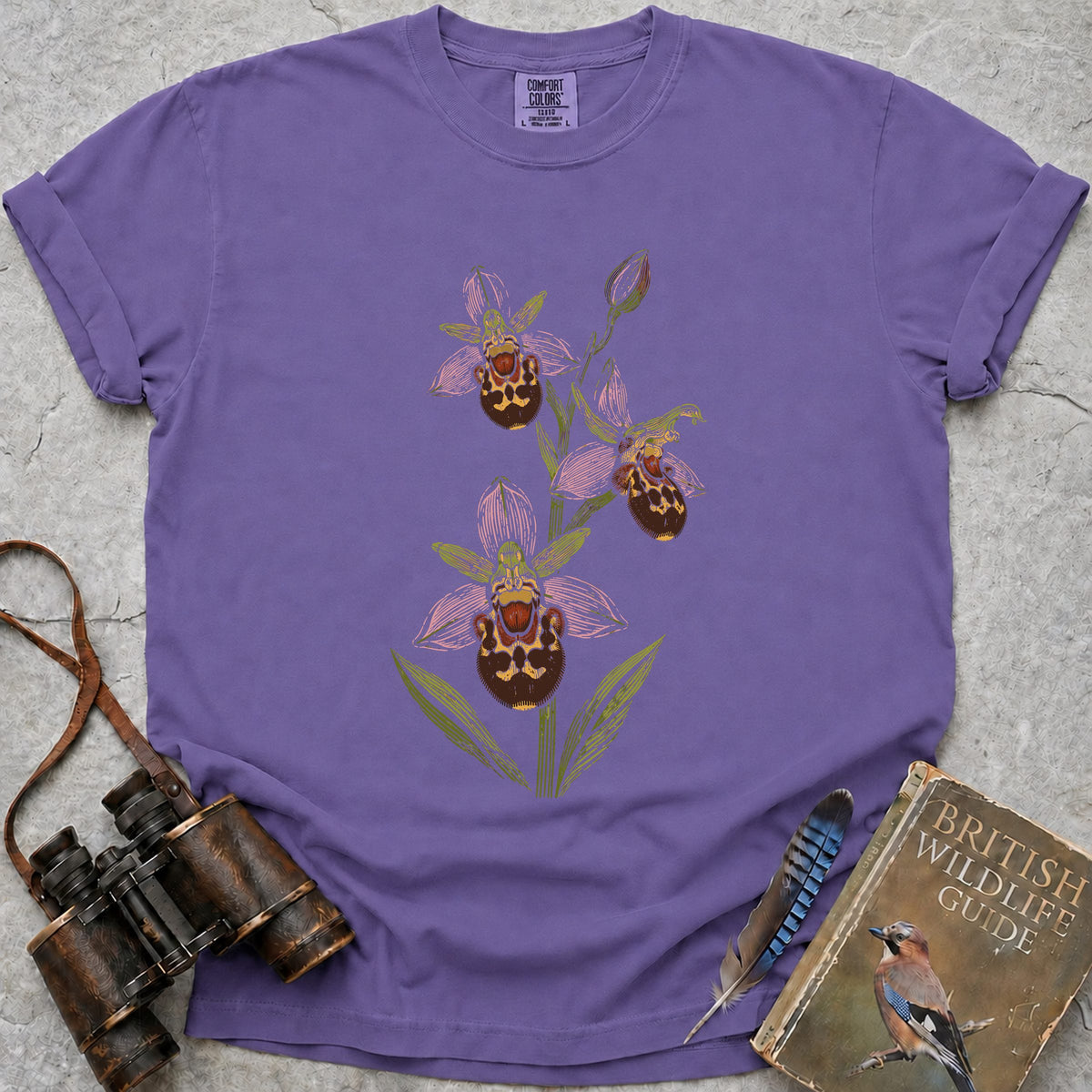 british-bee-orchid — violet