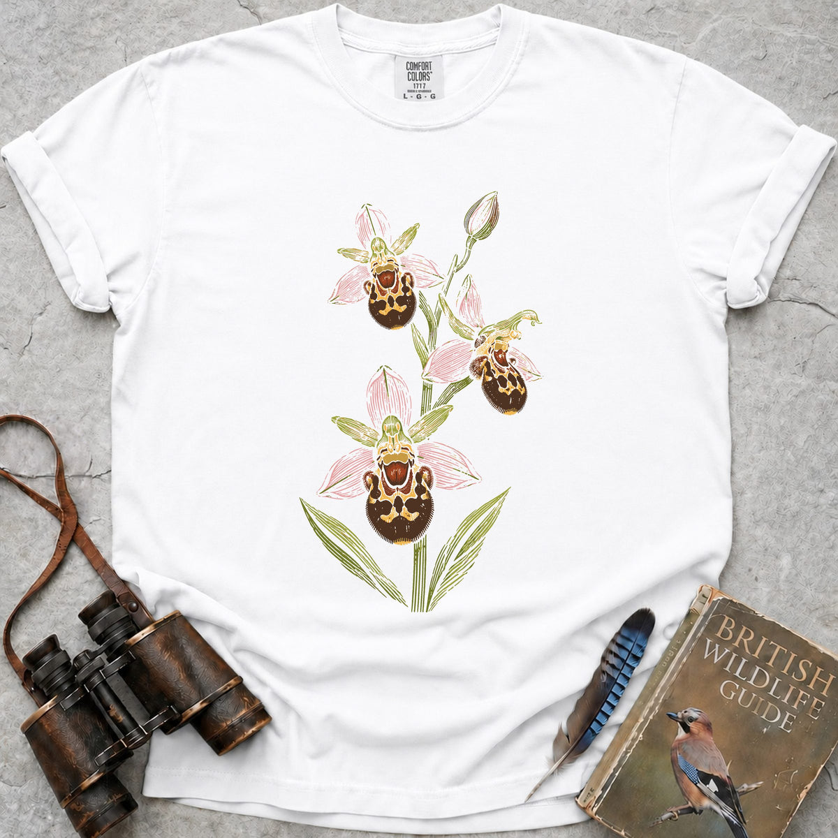 british-bee-orchid — white