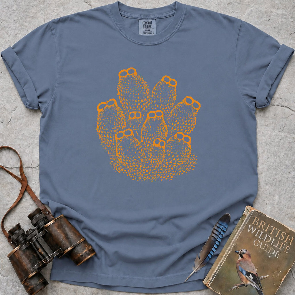 colony-of-sea-squirts — blue jean