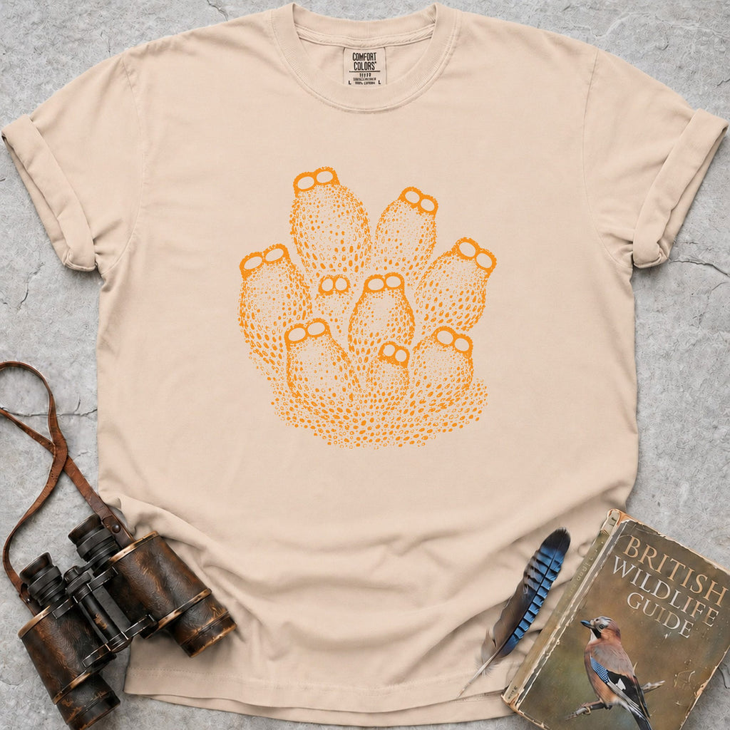 colony-of-sea-squirts — ivory