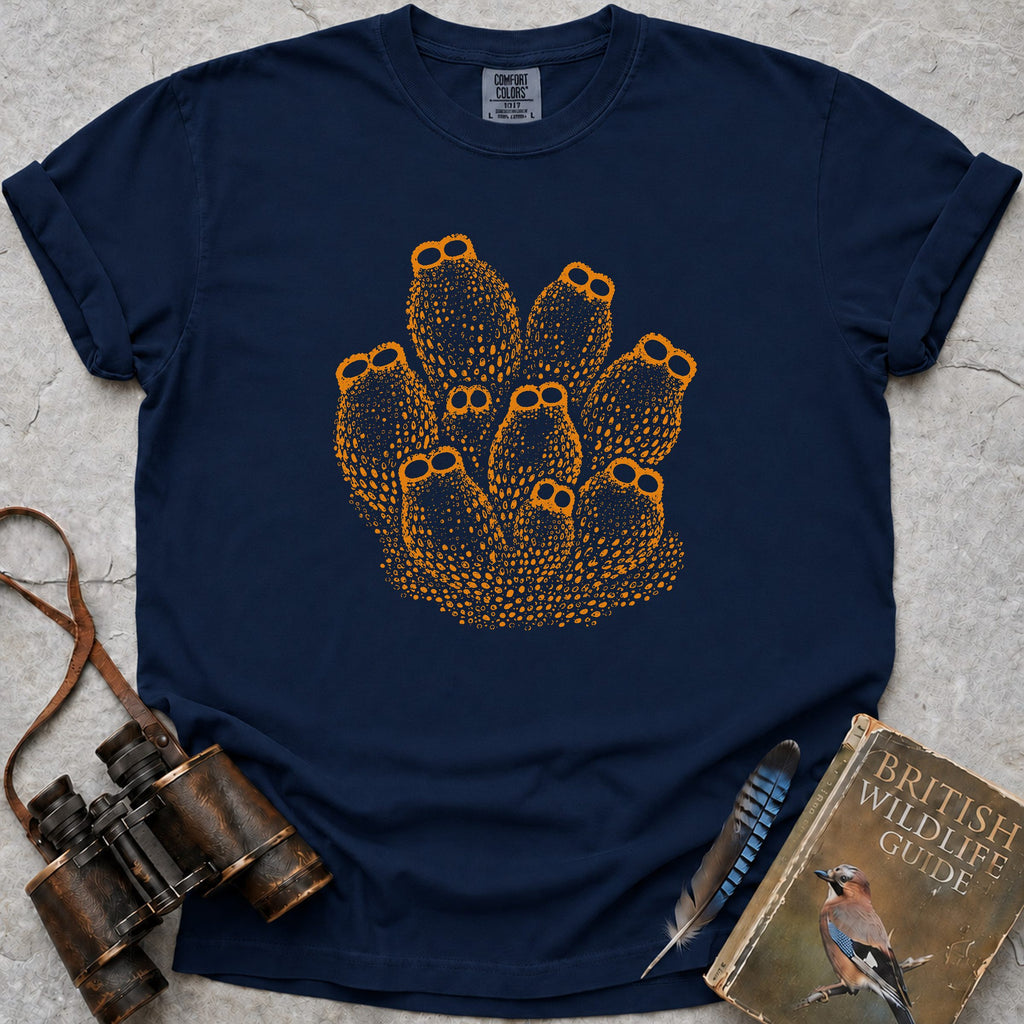 colony-of-sea-squirts — true navy