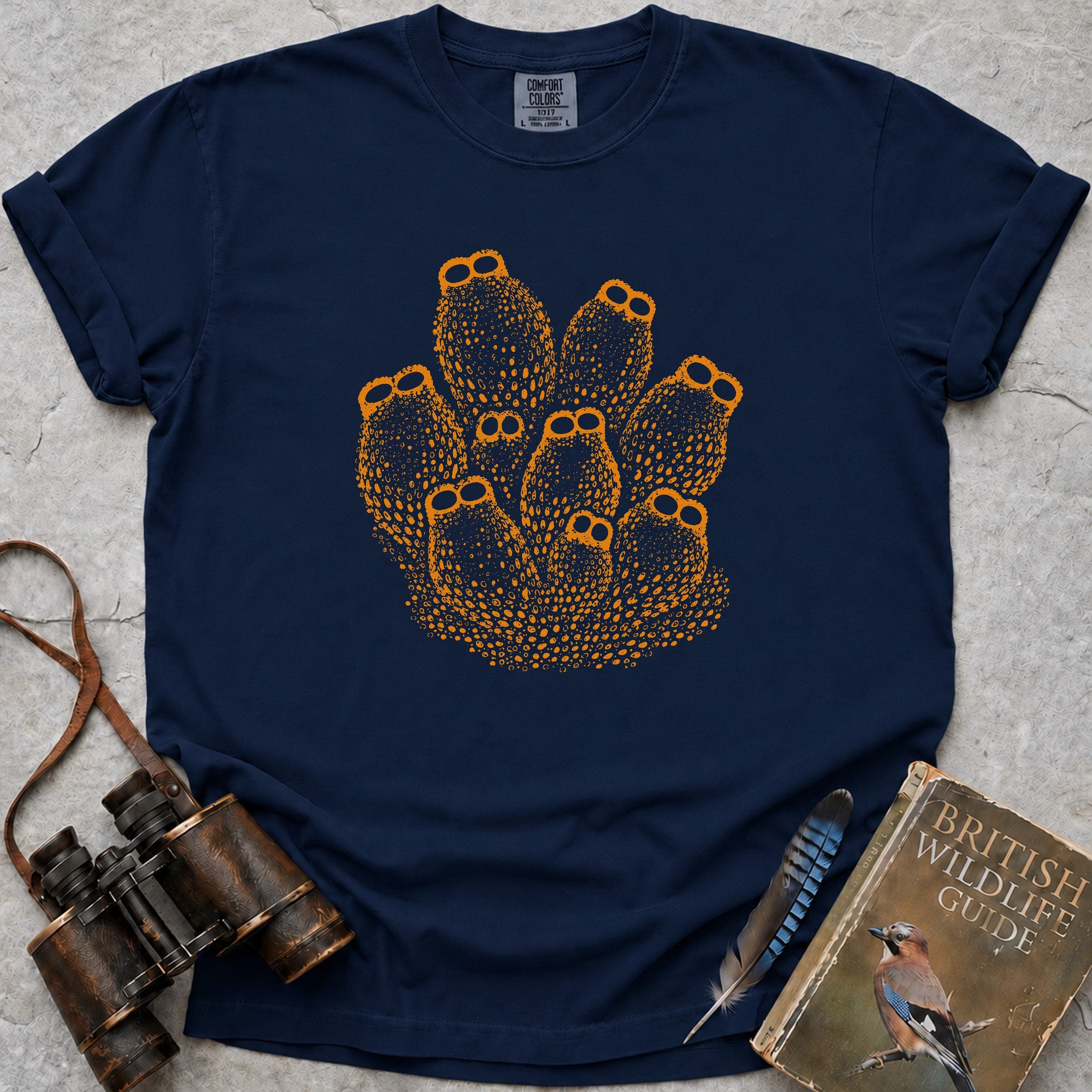 colony-of-sea-squirts — true navy