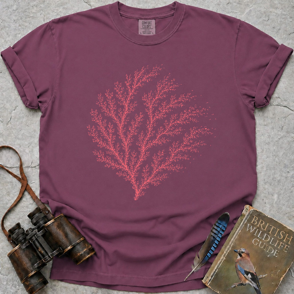 coral-fan — berry
