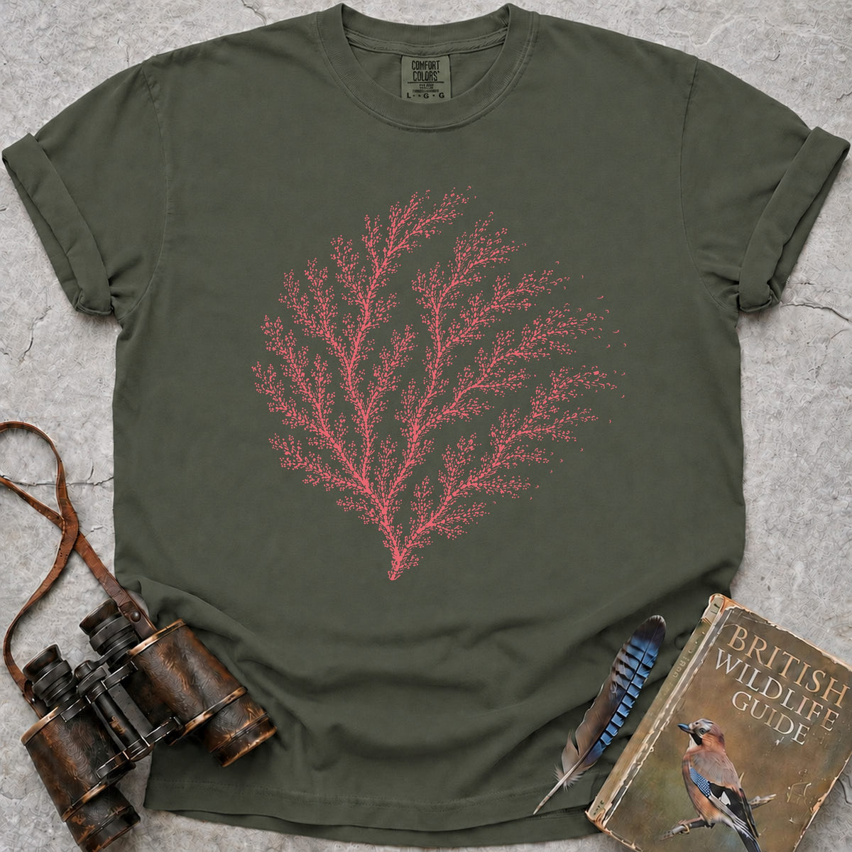 coral-fan — moss