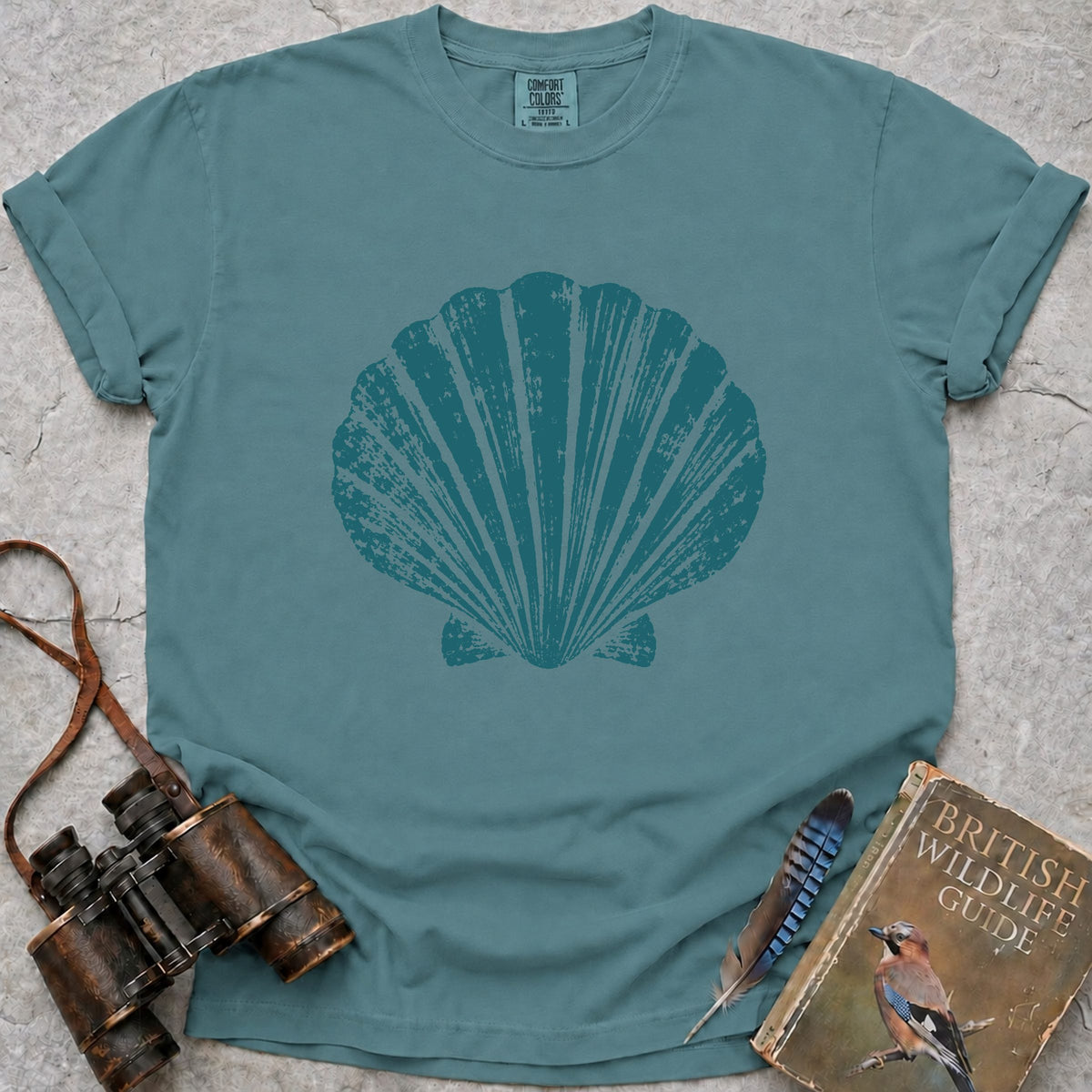king-scallop-shell — seafoam