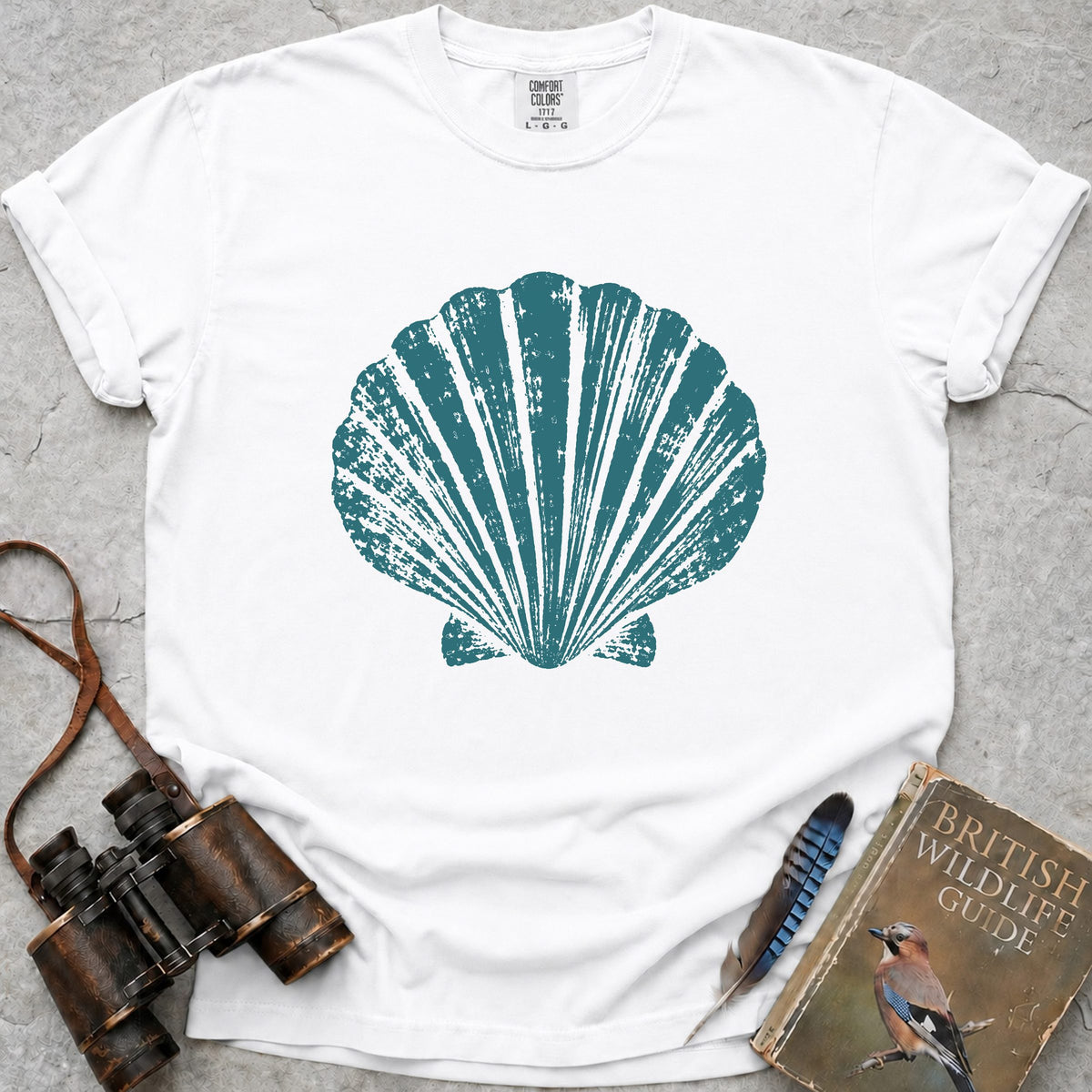 king-scallop-shell — white