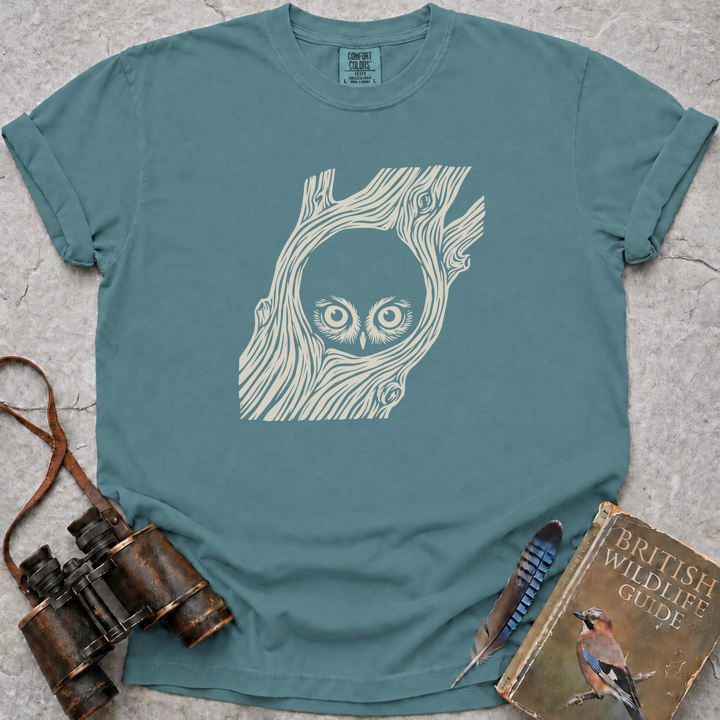 Peeping Owlet T-Shirt — seafoam