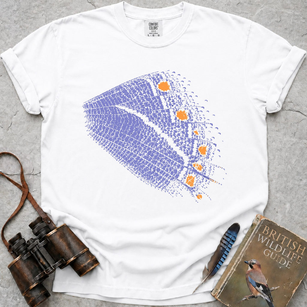 purple-hairstreak-butterfly — white