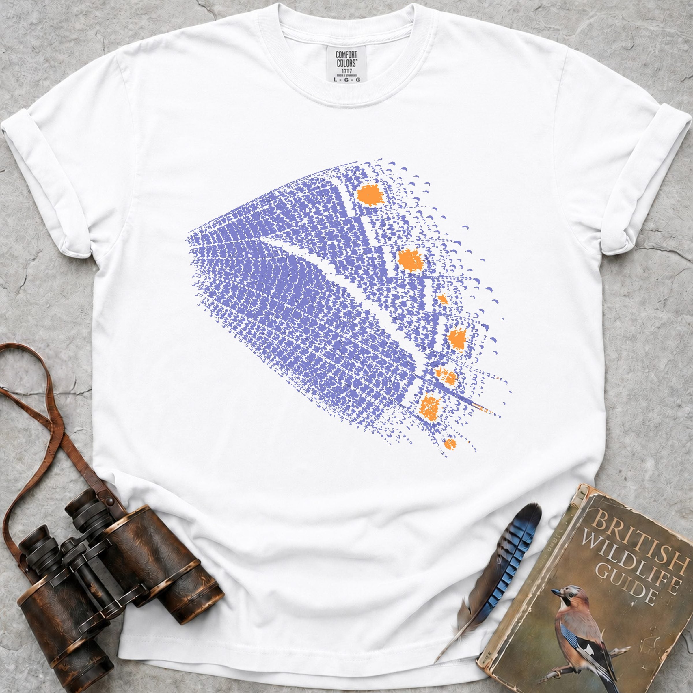 purple-hairstreak-butterfly — white