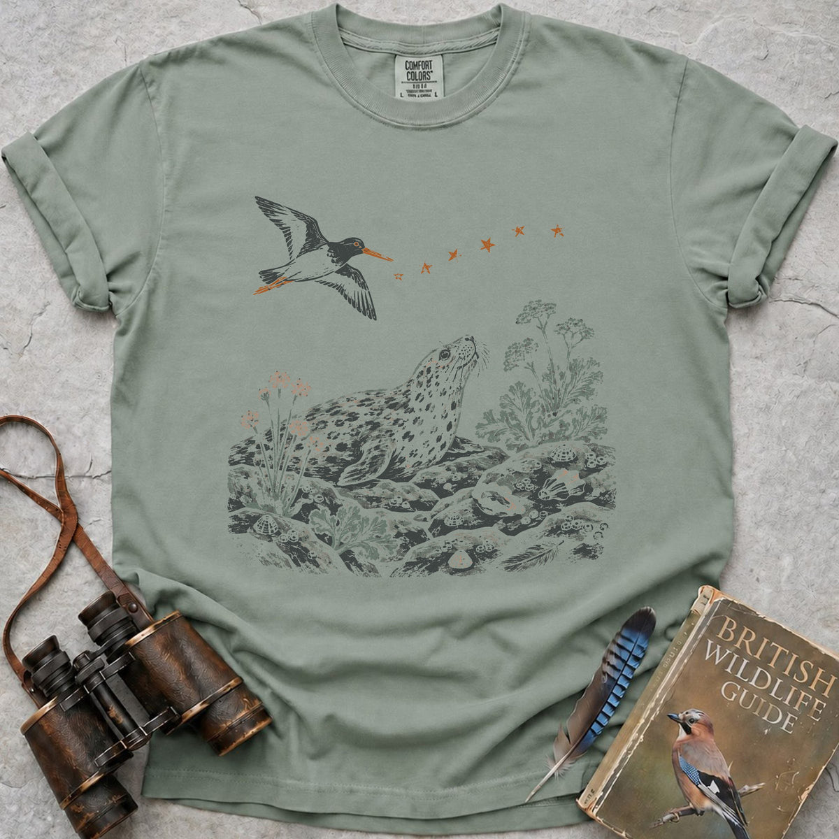 shoreline-stars-grey-seal — bay