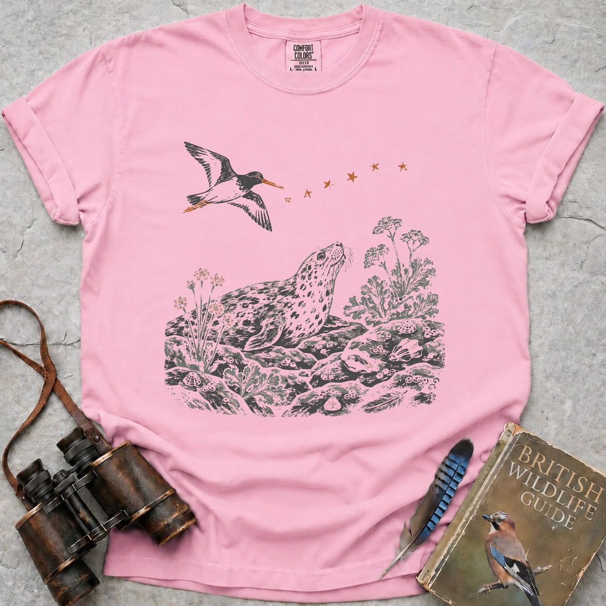 shoreline-stars-grey-seal — blossom