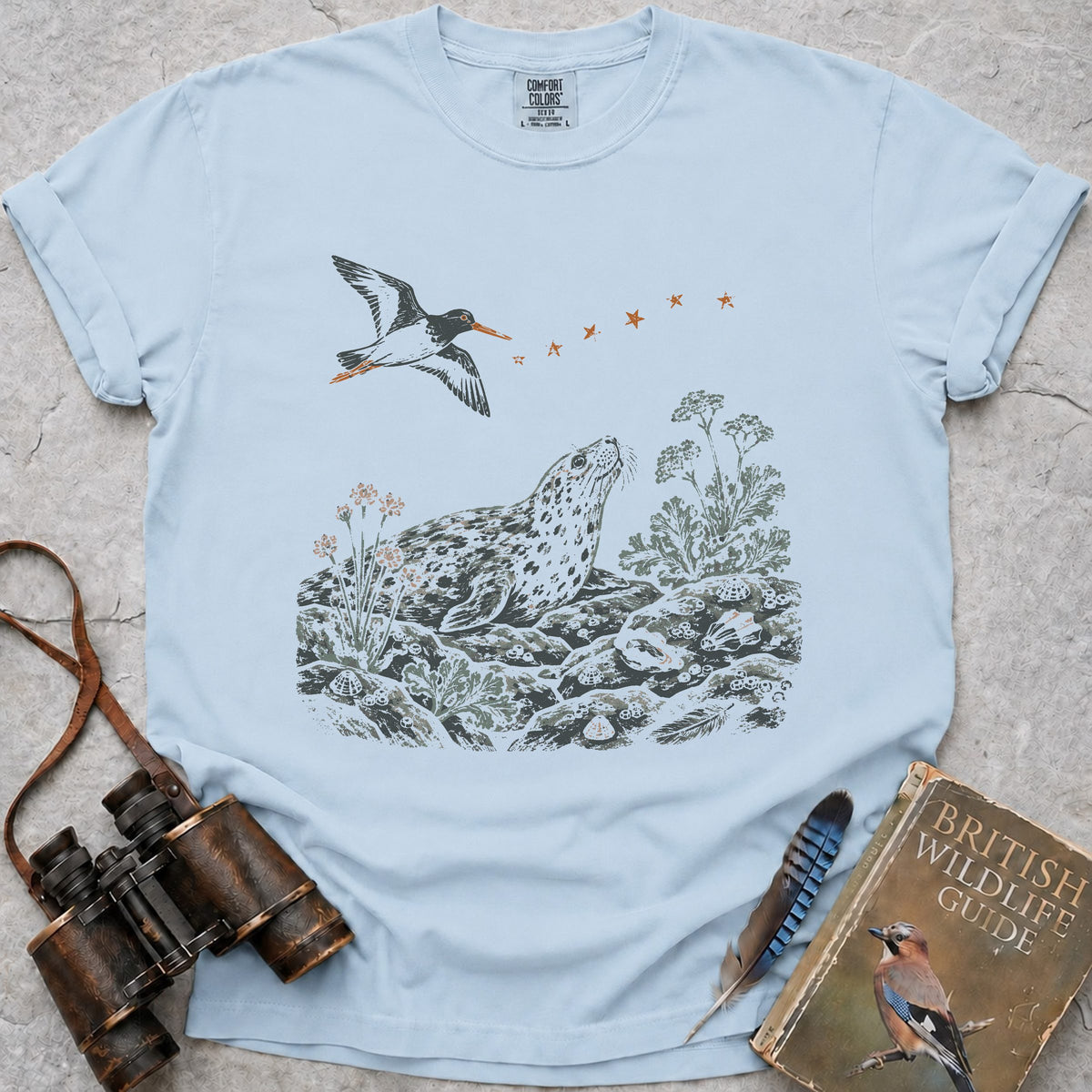 shoreline-stars-grey-seal — chambray