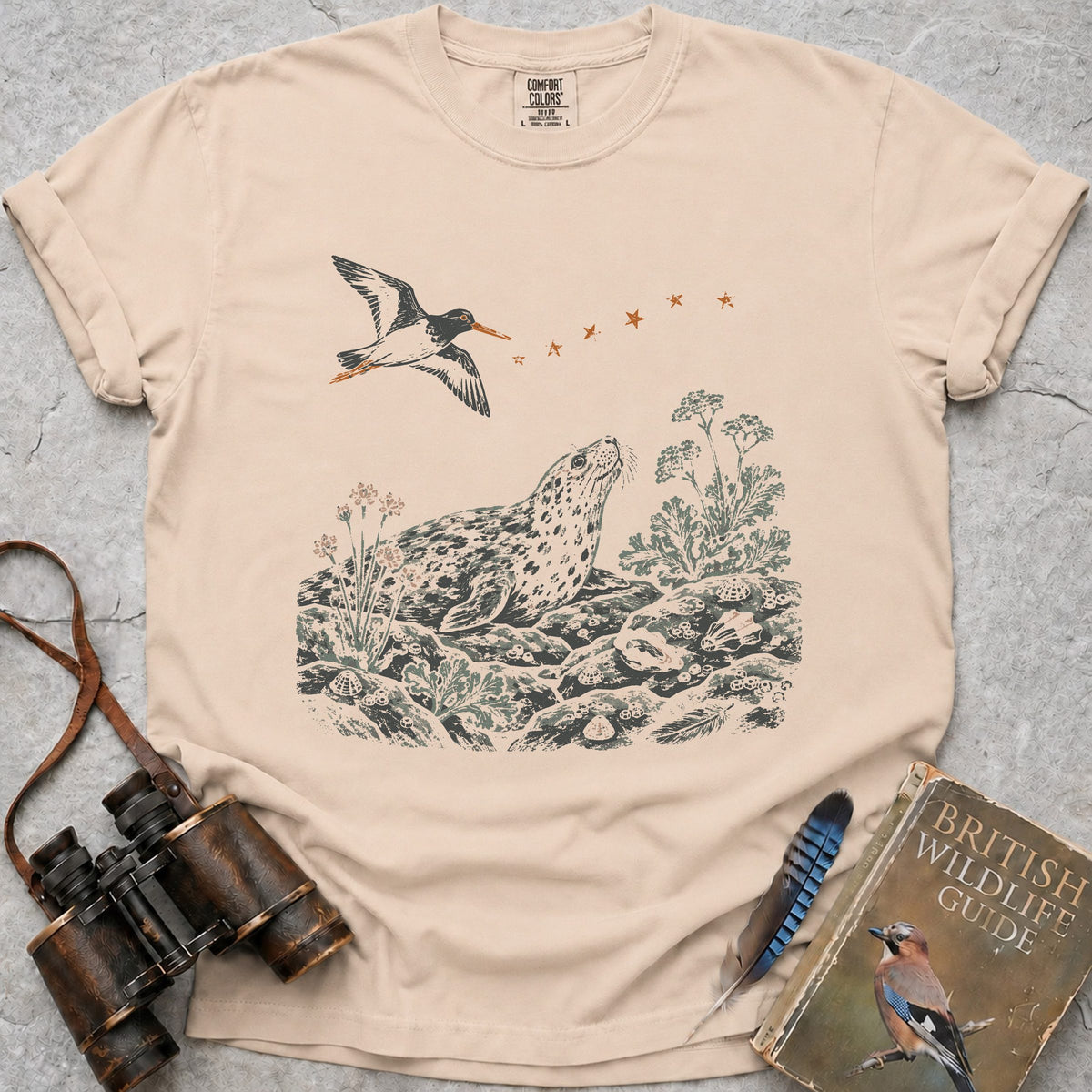 shoreline-stars-grey-seal — ivory