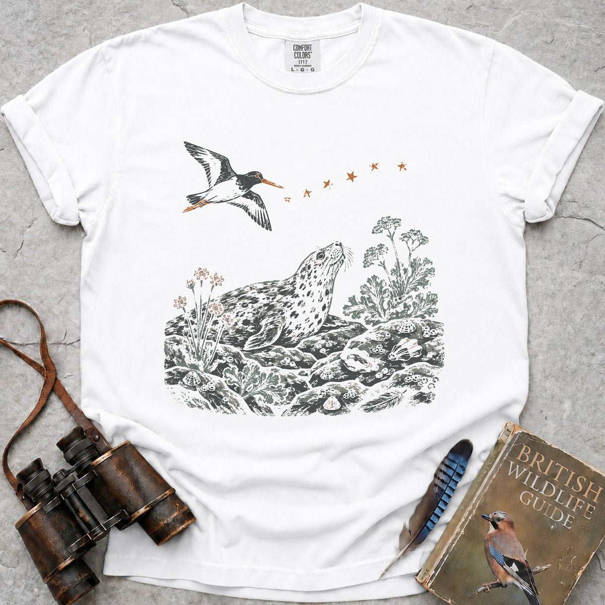 shoreline-stars-grey-seal — white