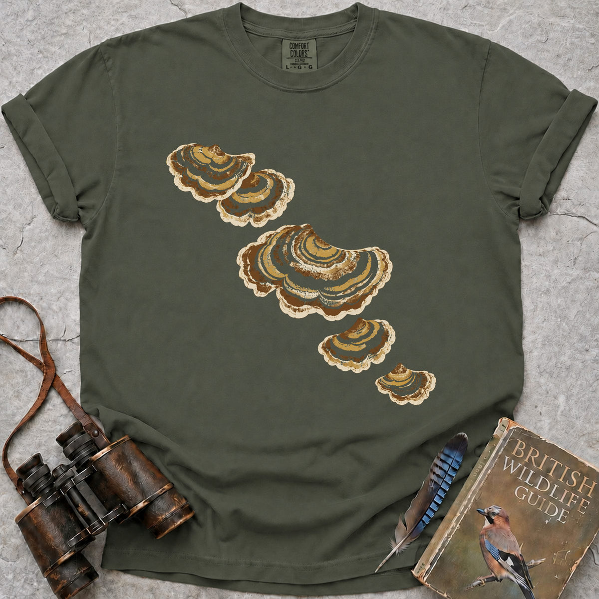 turkeytail-fans — moss
