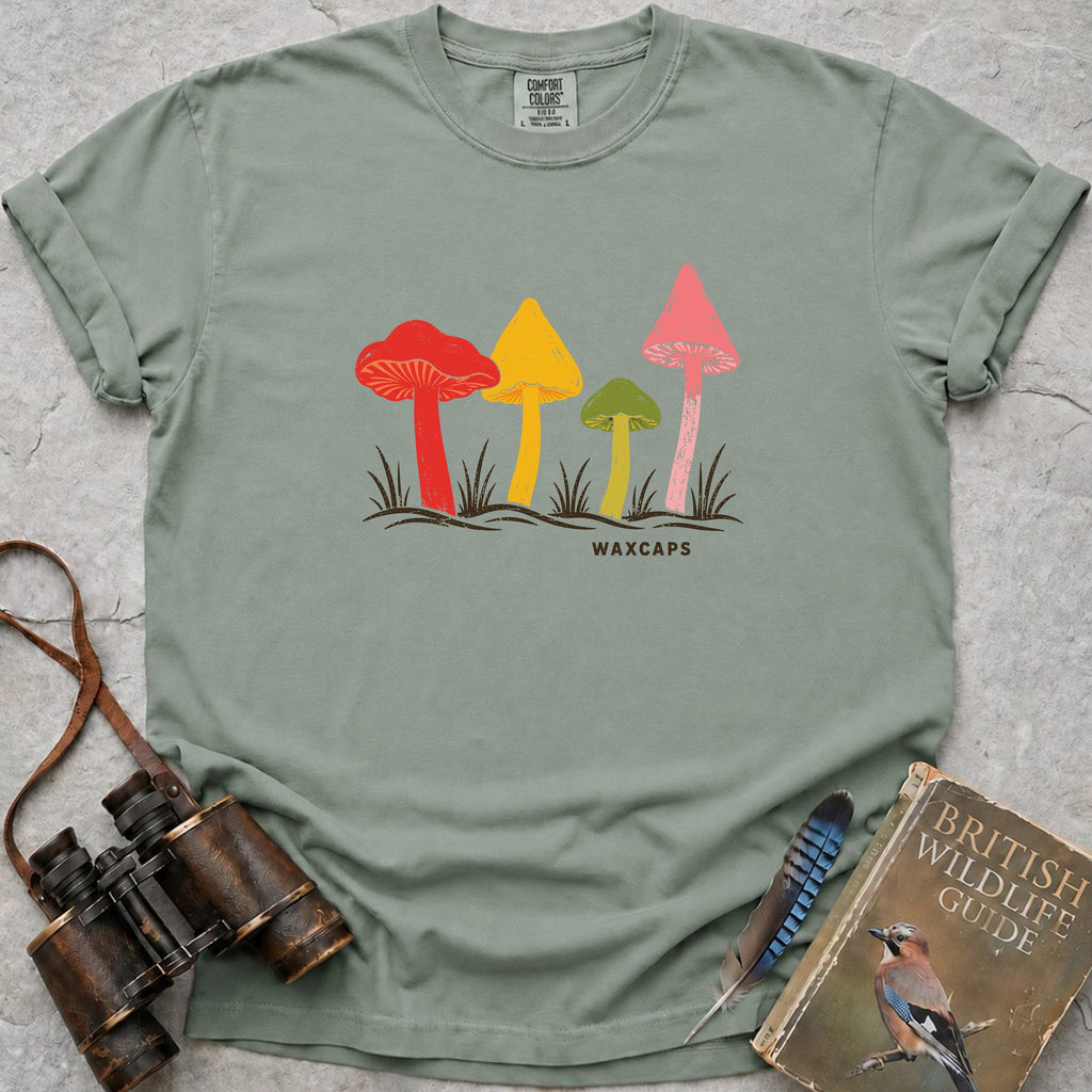 waxcap-grassland-jewels — bay