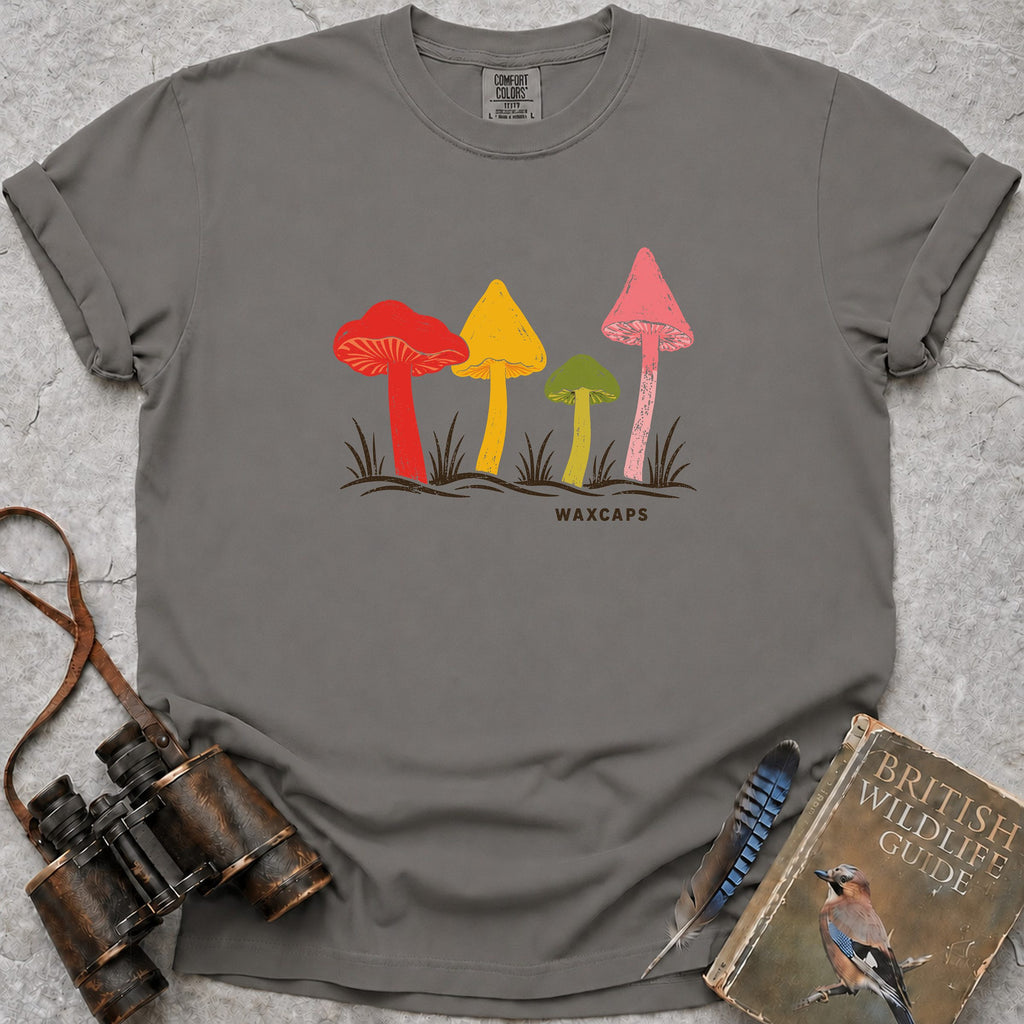 waxcap-grassland-jewels — grey
