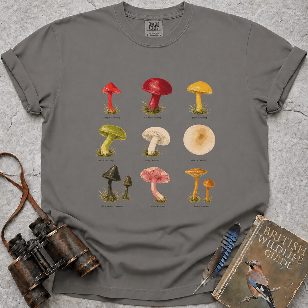 waxcap-mushroom-field-guide — grey