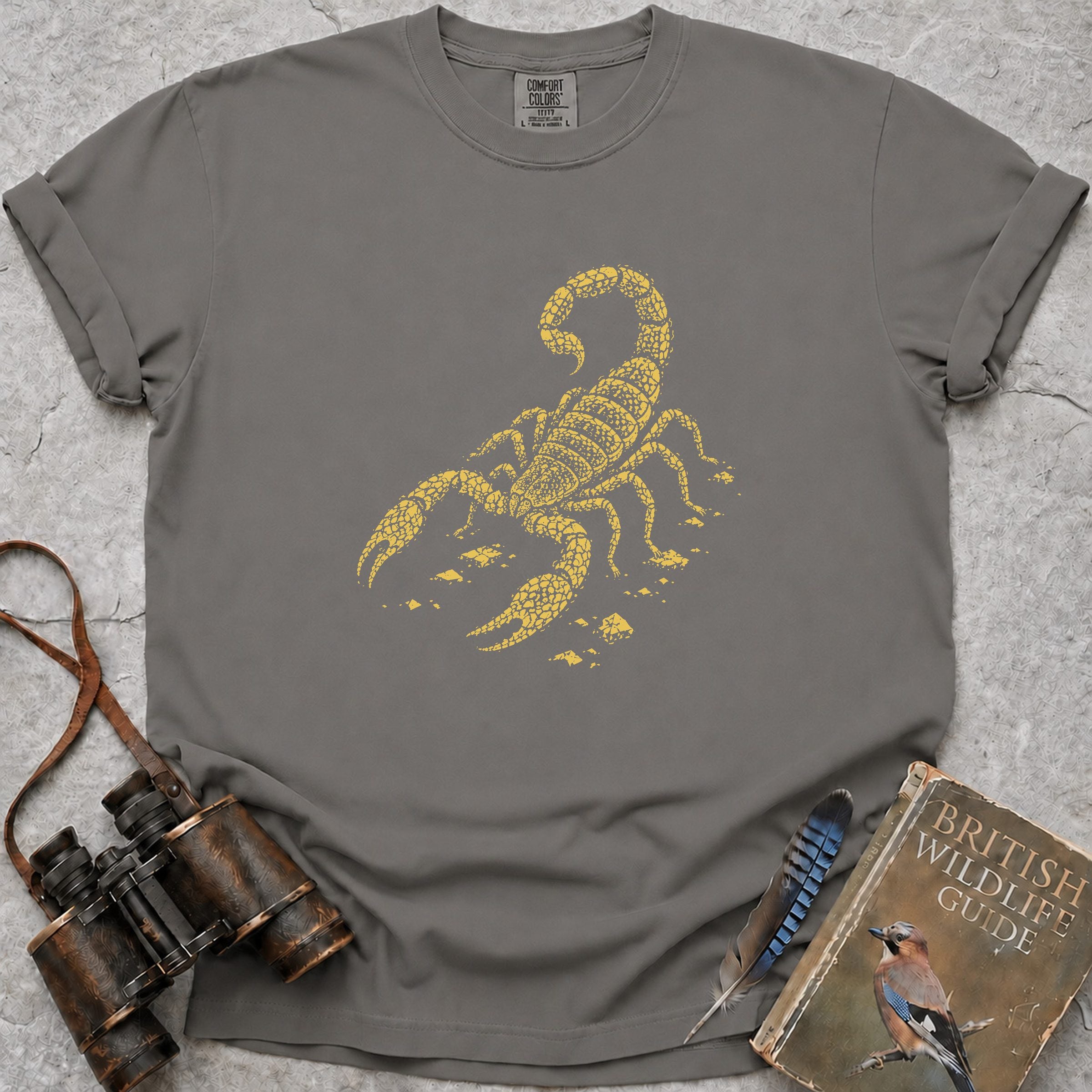 yellow-tailed-scorpion — grey